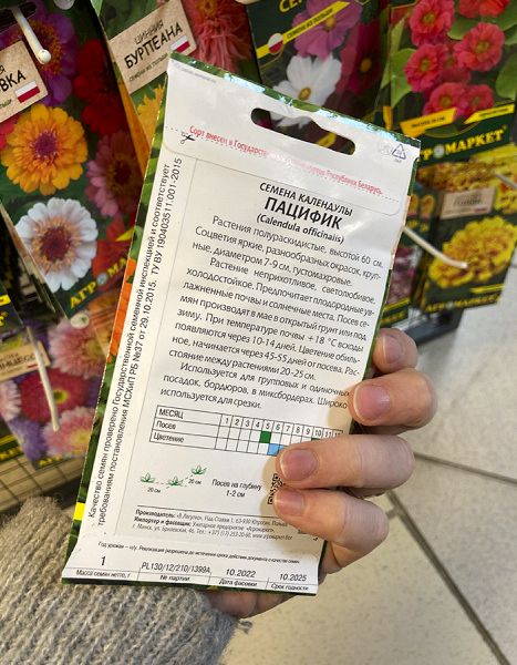 календула Пацифик